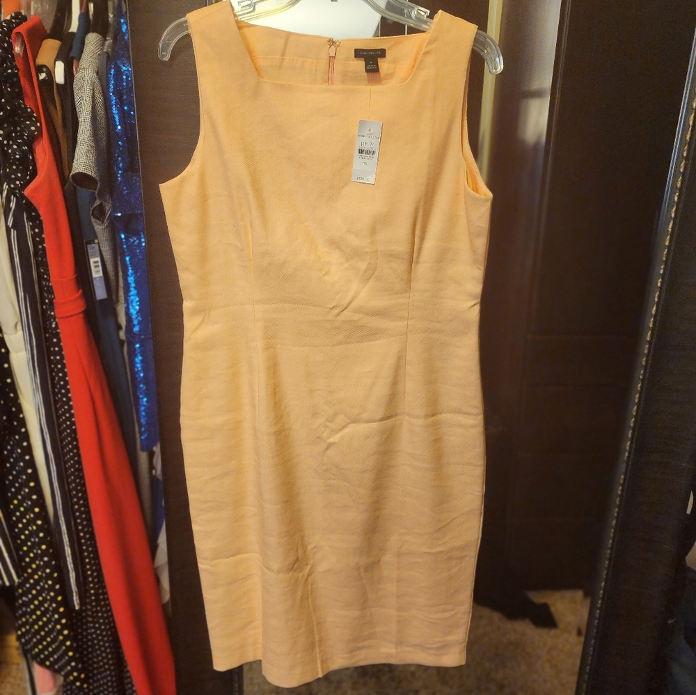Ann Taylor Dress